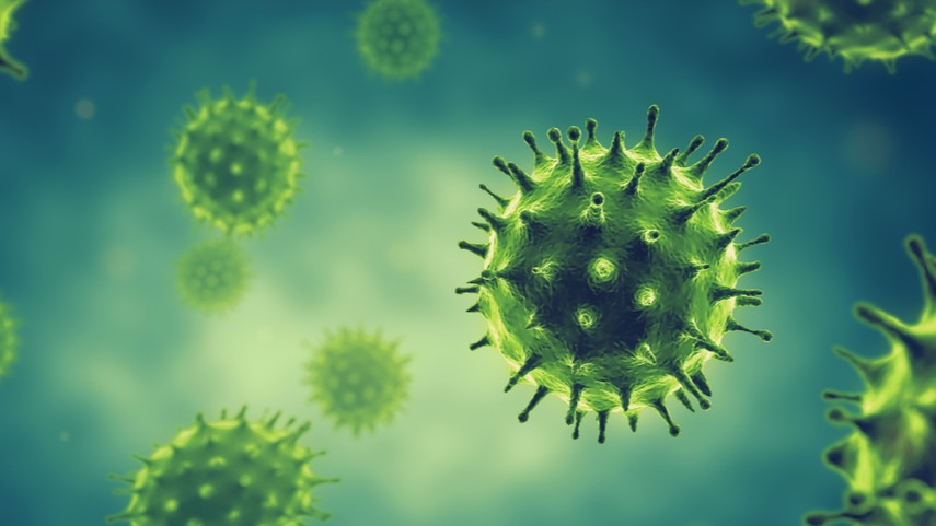 shutterstock_1612792156 flu2