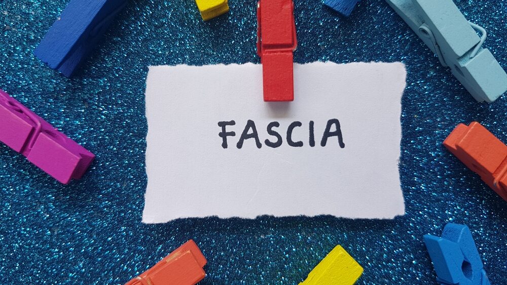 Fascia,Writting,On,Blue,Background.