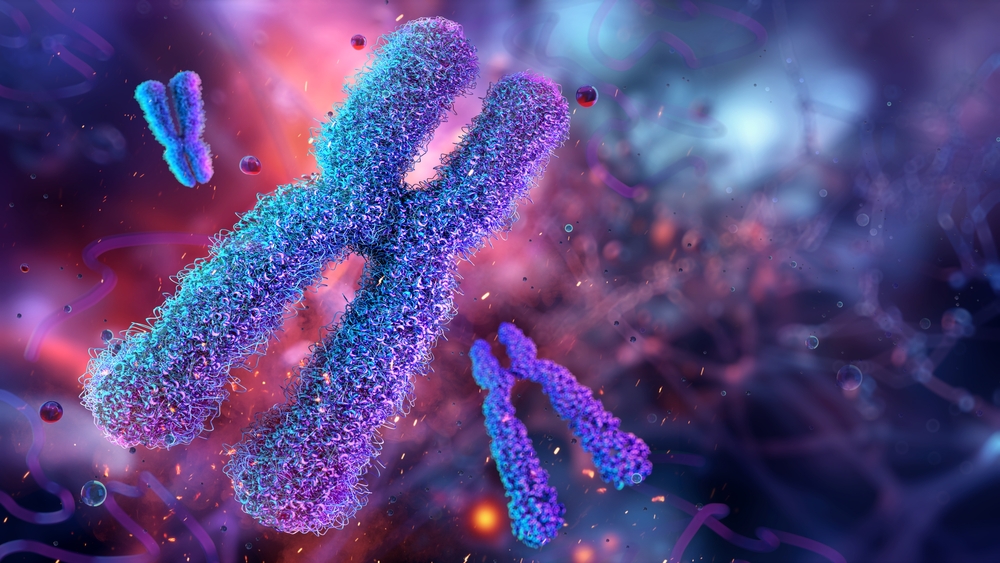 Human,X,Chromosomes,,Karyotype,,Structure,,Division,In,Genetic,Biological,Study.