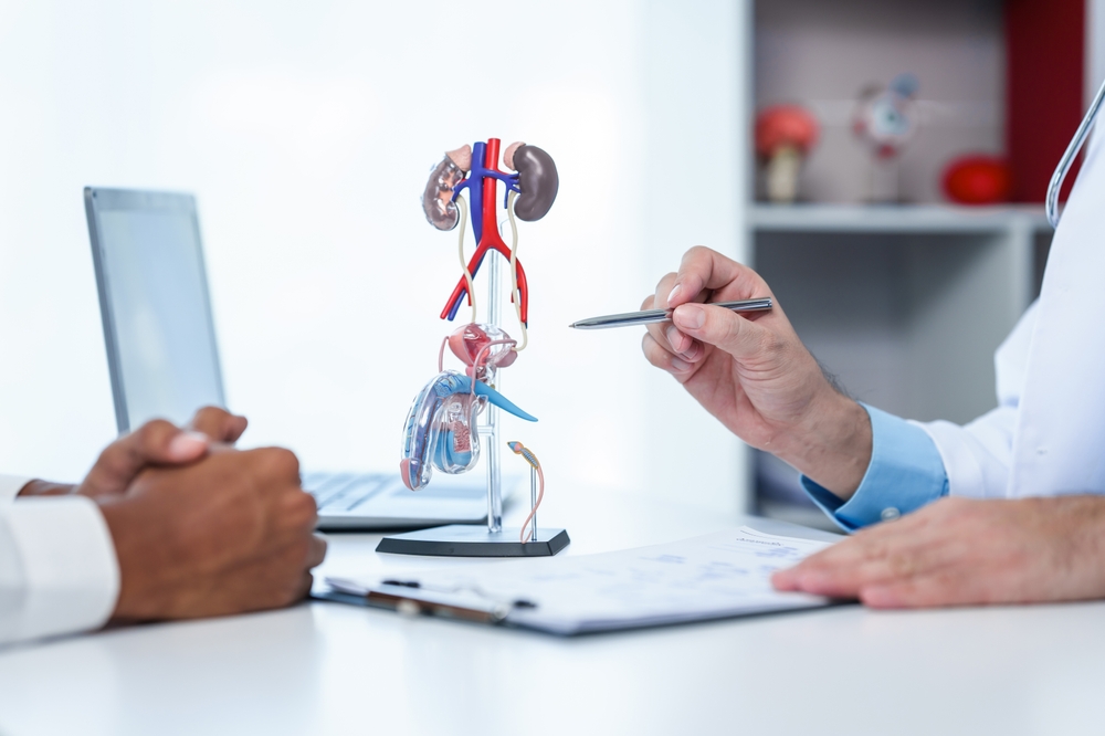 Close-up,Of,Male,Patient,Consultation,With,Doctor,,Explaining,Model,Of
